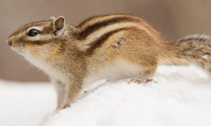 深圳柒捌玖安博科技有限公司轮播图1